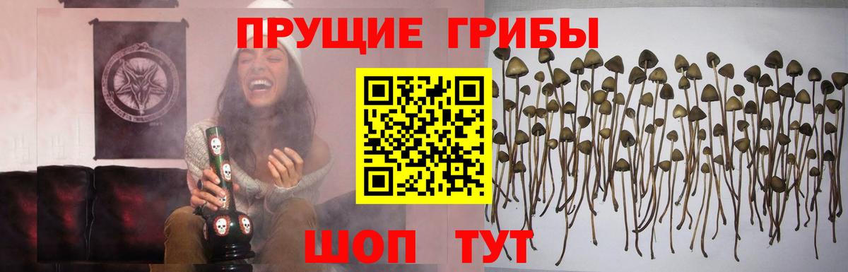 Норильск  Канабис  КОКАИН  МДМА  НБОМе  A-PVP СК кристаллы  ГАШИШ  Вход с VPN  Гашиш  Мефедрон  